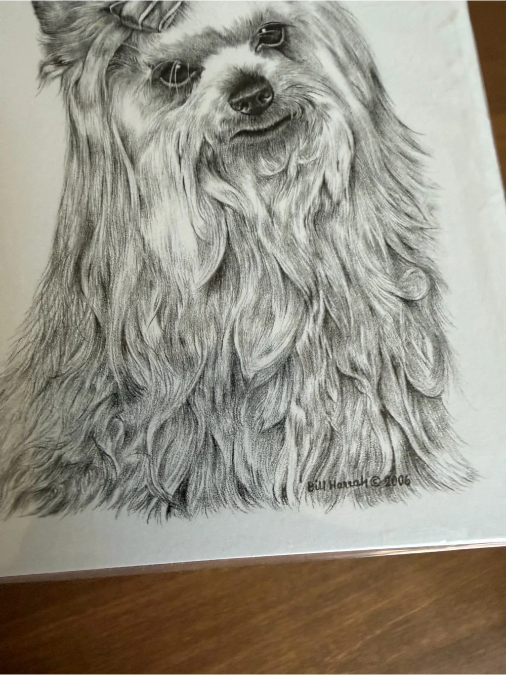 Yorkshire Terrier Dog Note Cards (8) Fine Art Drawing